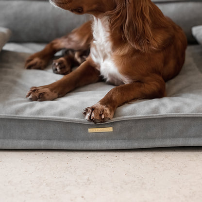 Execu-Sofa Dog Bed by Lords & Labradors