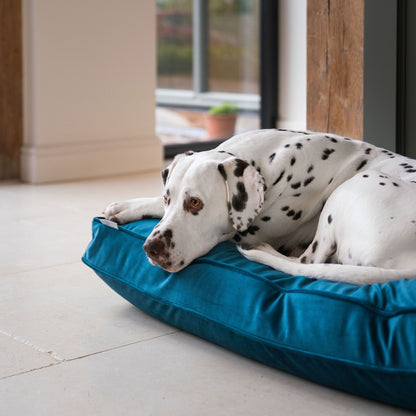 Dog Cushion in Marine Velvet by Lords & Labradors