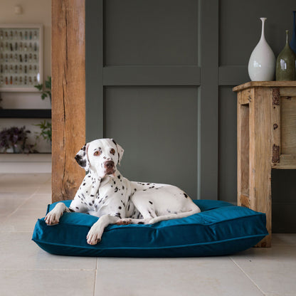 Dog Cushion in Marine Velvet by Lords & Labradors