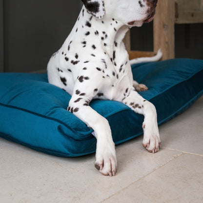 Dog Cushion in Marine Velvet by Lords & Labradors