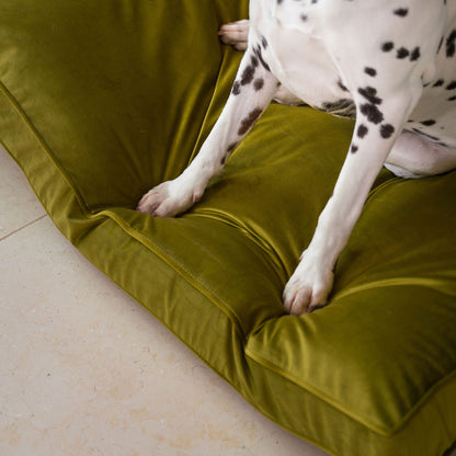 Dog Cushion in Olive Velvet by Lords & Labradors