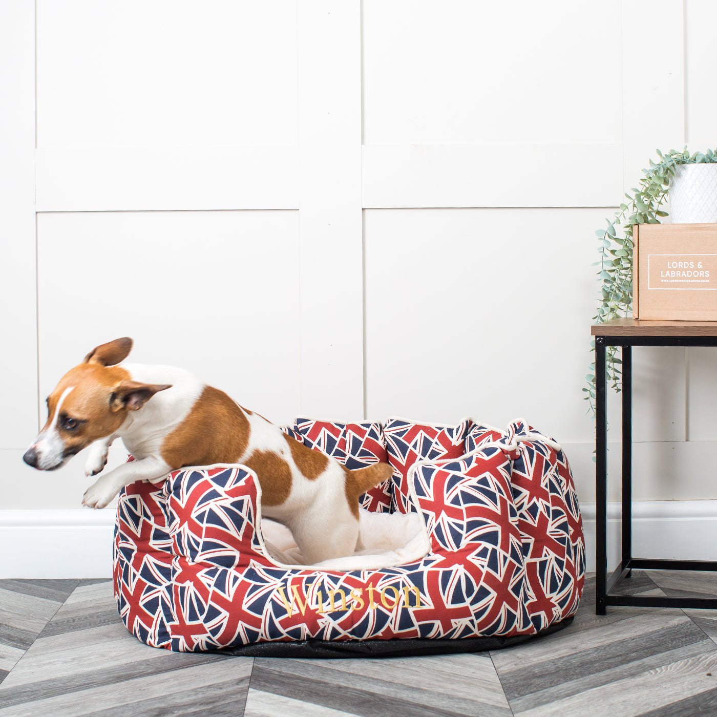 The posh outlet dog bed company