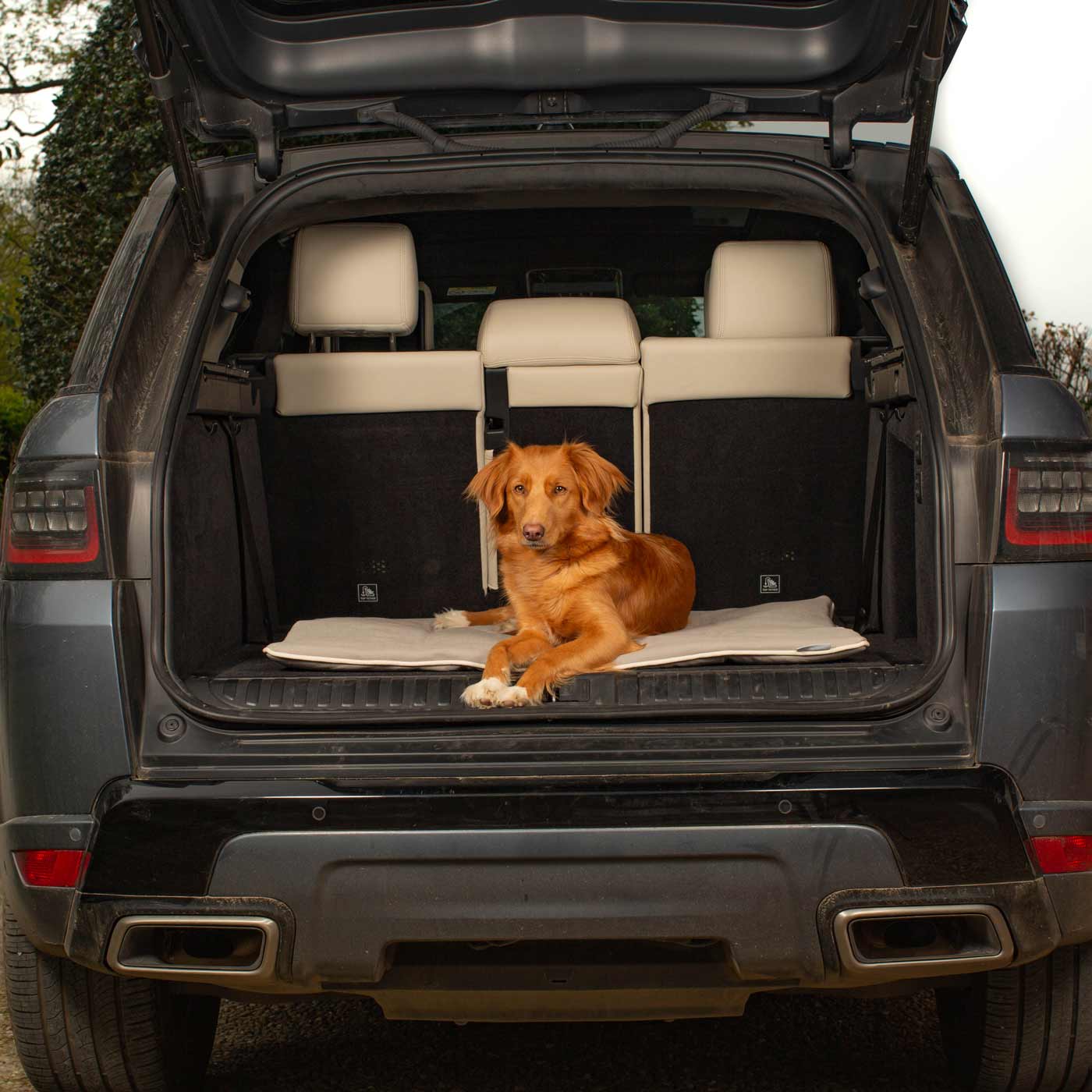 Embark on the perfect pet travel with our luxury Travel Mat in Savanna Stone! Featuring a Carry handle for on the move once Rolled up for easy storage, can be used as a seat cover, boot mat or travel bed! Available now at Lords & Labradors US