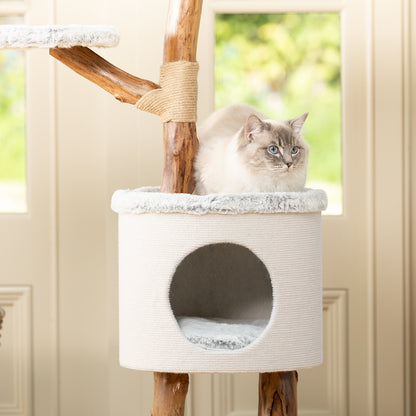 Back to Nature The High Rise Cat Scratch Post