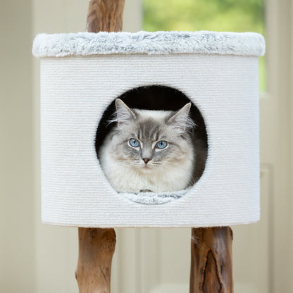 Back to Nature The High Rise Cat Scratch Post