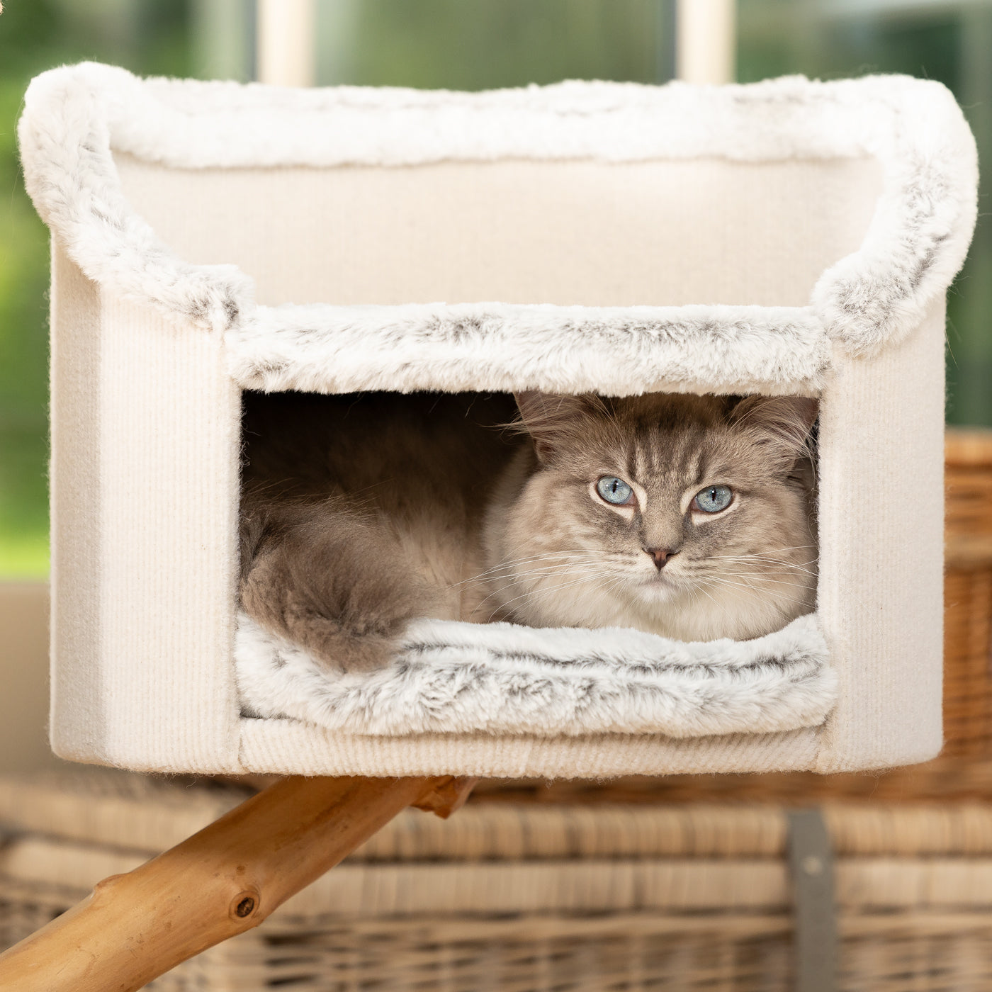 Back to Nature The Luxe Cat Scratch Post