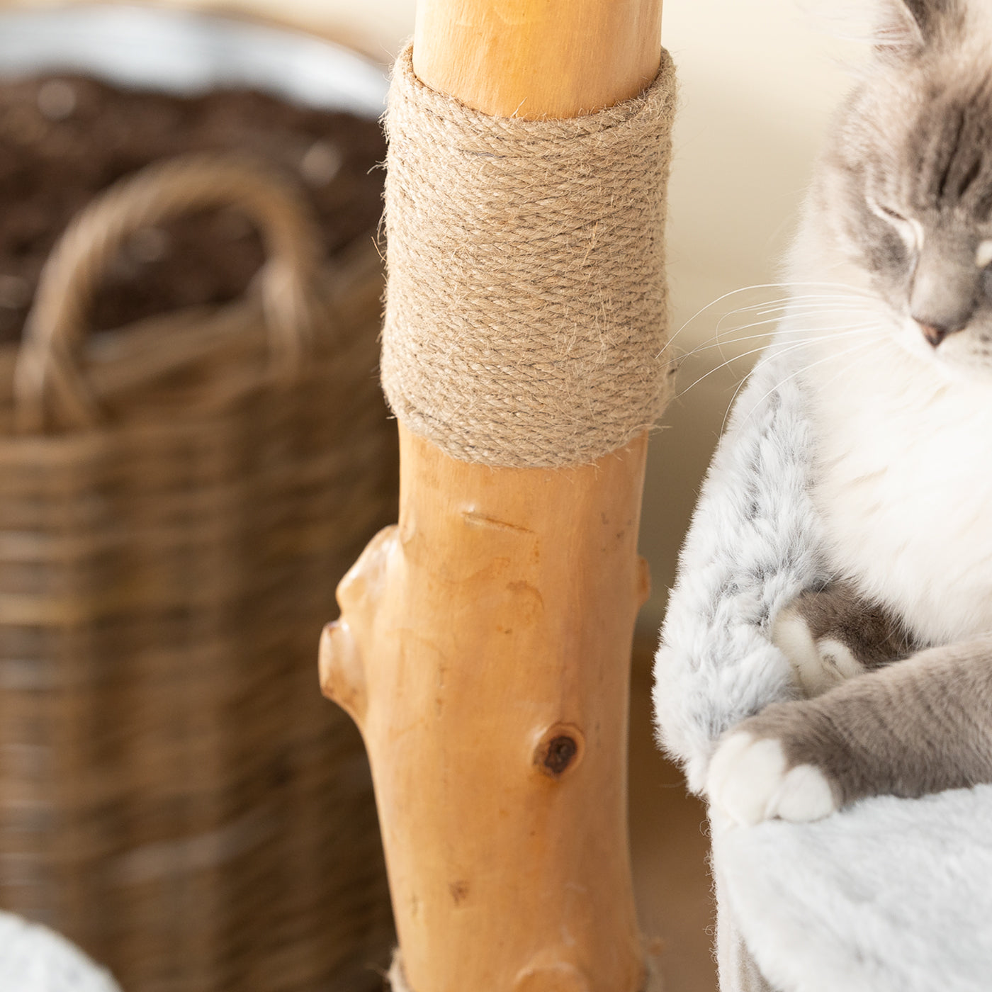 Back to Nature The Luxe Cat Scratch Post