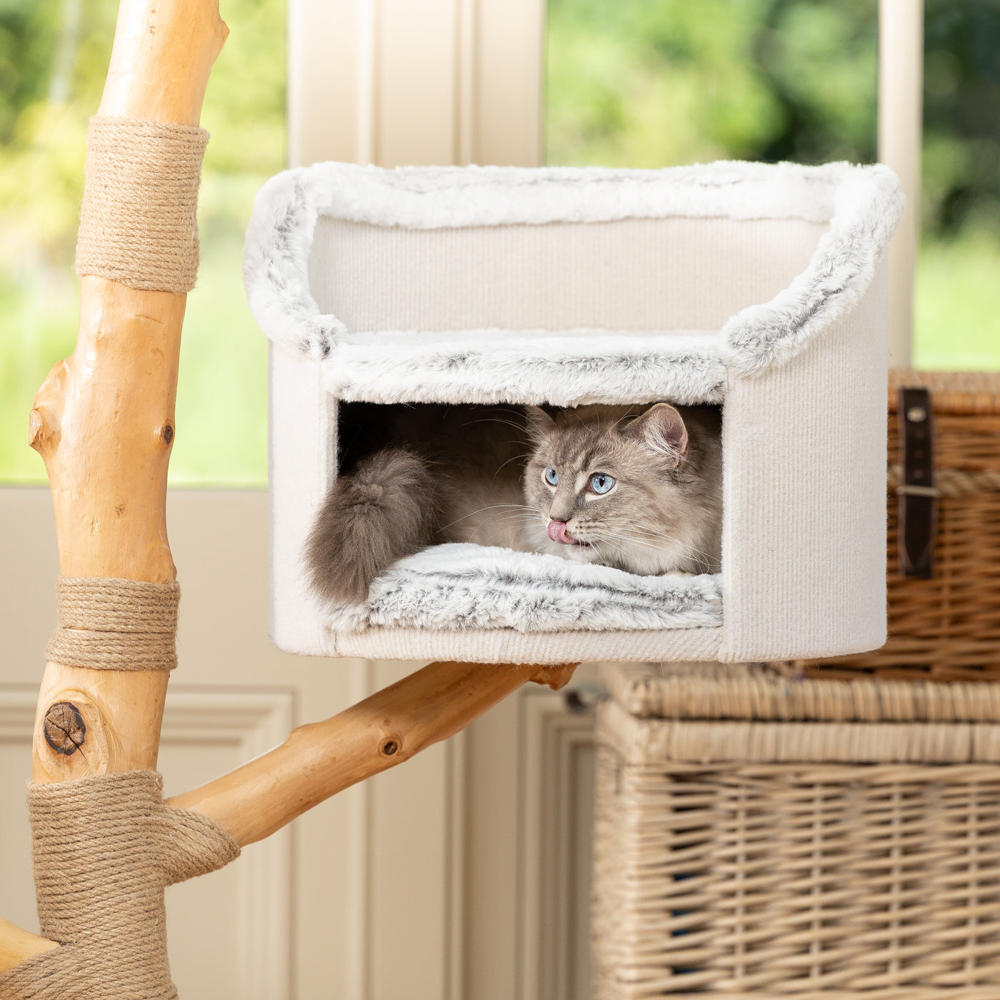 Back to Nature The Luxe Cat Scratch Post