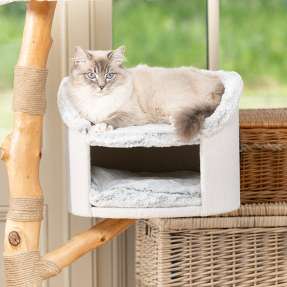 Back to Nature The Luxe Cat Scratch Post