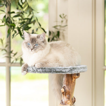 Back to Nature The Trio Cat Scratch Post