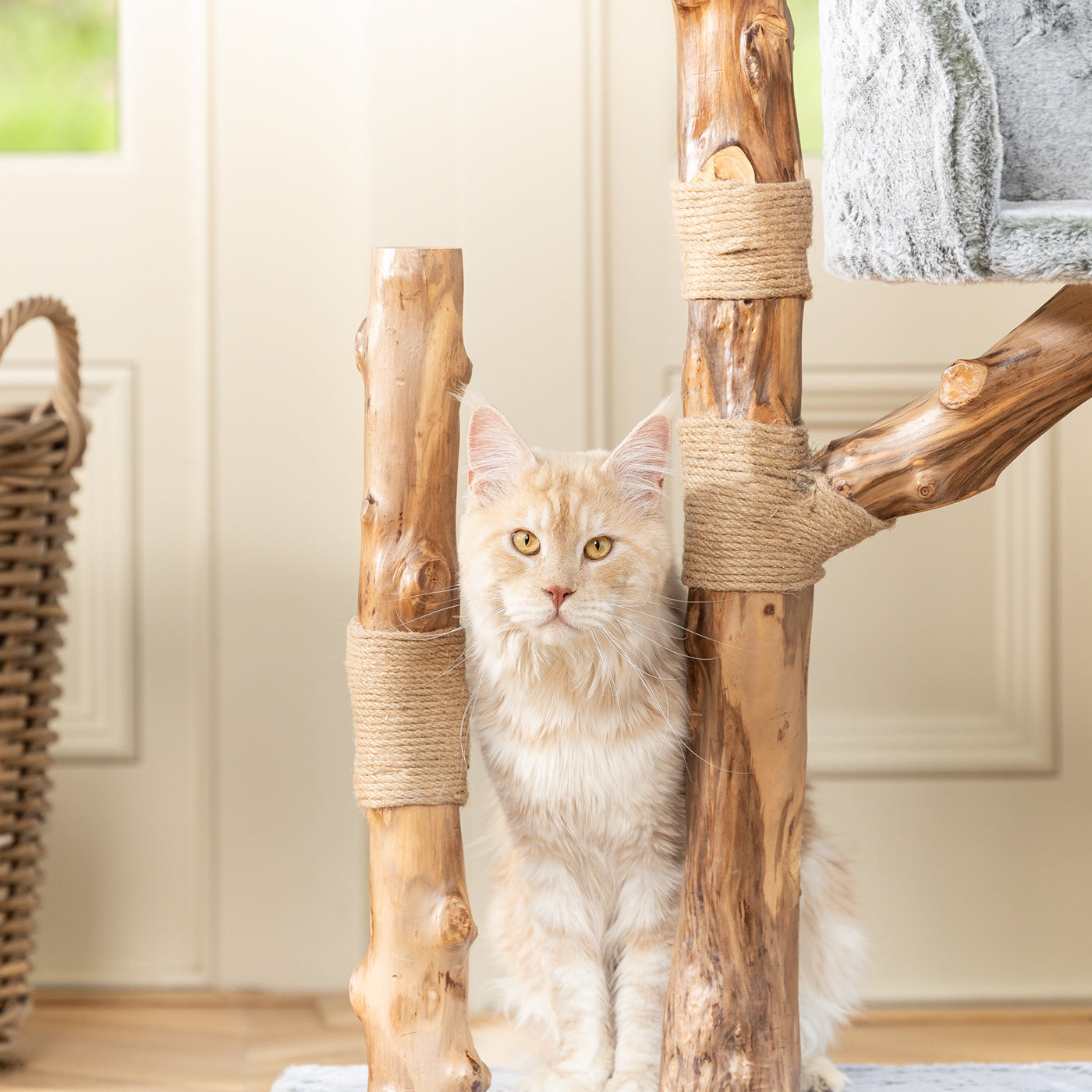 Wood for cat scratching fashion post