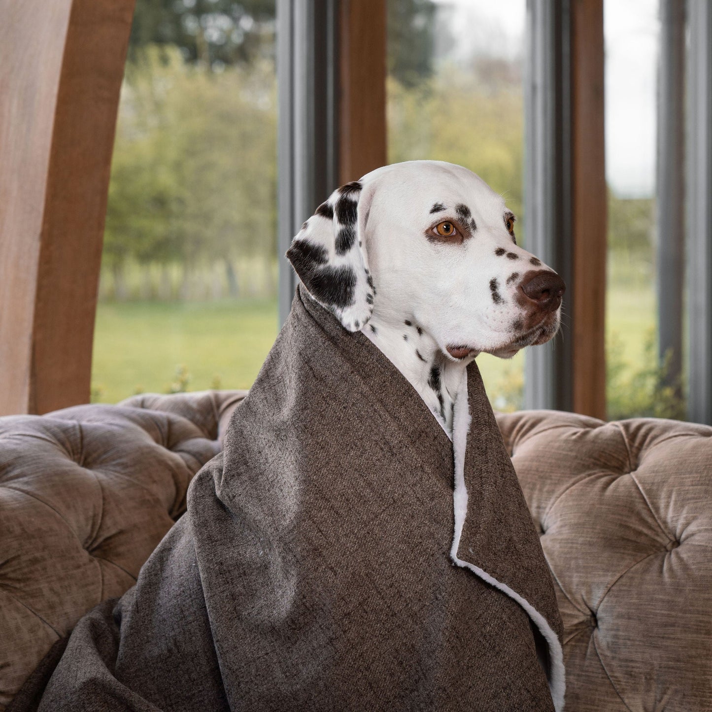 Discover The Perfect Blanket For Dogs! Help Delve Into a Cosy Burrow After Walks, Bath-Time or a Lazy Day Indoors! With Our Inchmurrin Dog Blanket In Stunning Brown Ember! Available To Personalise Now at Lords & Labradors 
