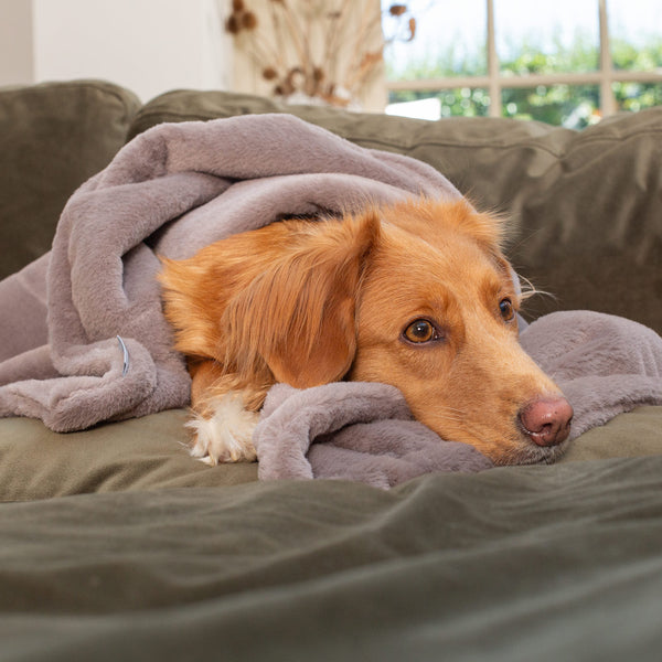 Fawn Faux Fur Dog & Puppy Blanket | Dog Blankets | Lords