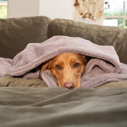 Dog & Puppy Blanket in Calming Anti-Anxiety Fawn Faux Fur by Lords & Labradors