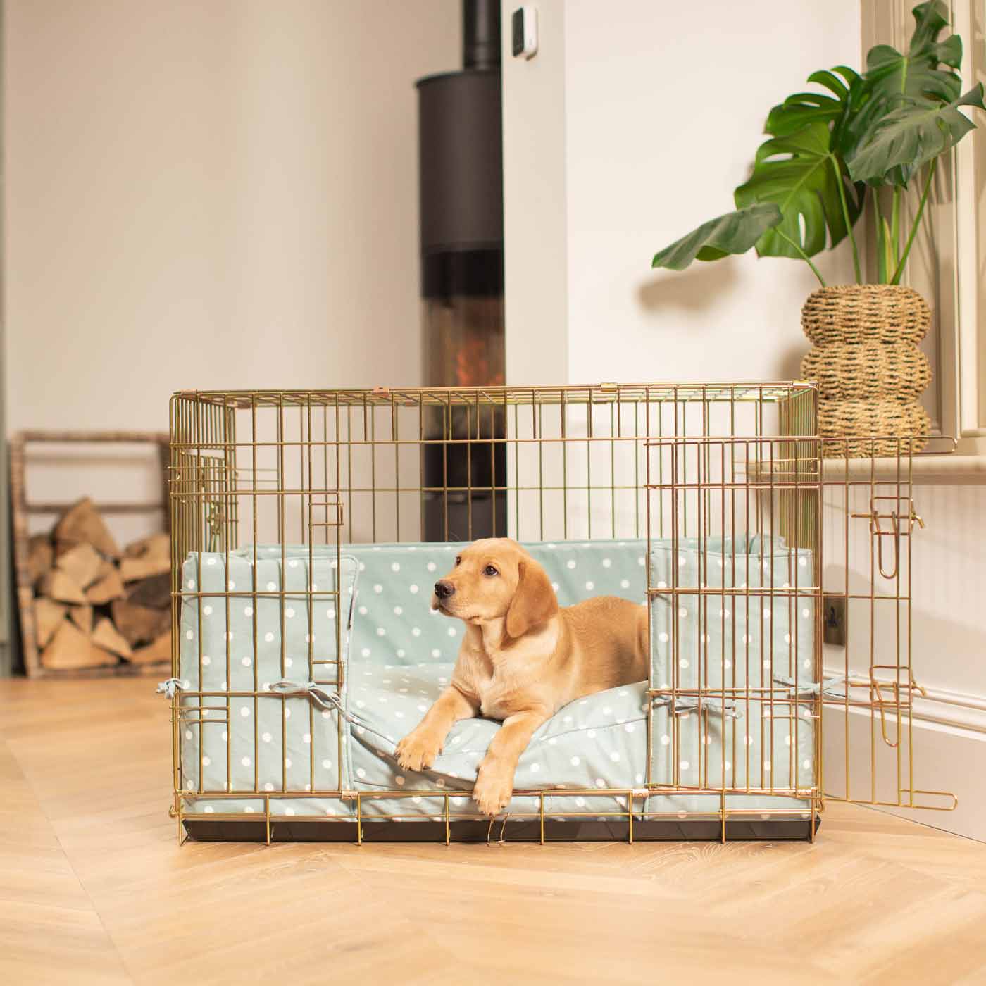 Luxury Gold Dog Cage Set With Cushion, Bumper and Crate Cover. The Perfect Dog Crate For The Ultimate Naptime, Available Now at Lords & Labradors US 