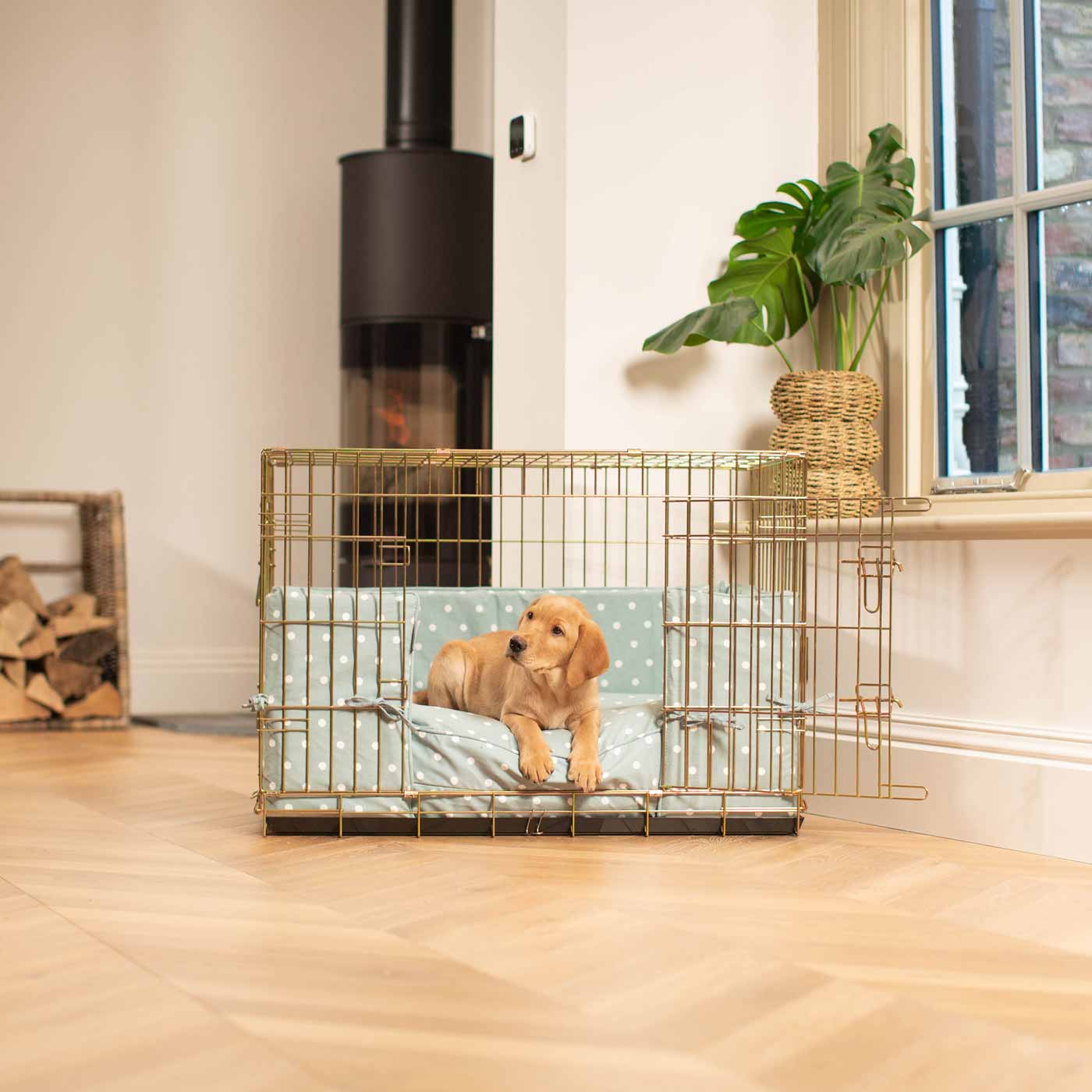 Discover our Luxury Heavy-Duty Gold Dog Cage Set With Cushion & Bumper, in Duck Egg Spot. The Perfect Dog Crate For The Ultimate Naptime, Available Now at Lords & Labradors US
