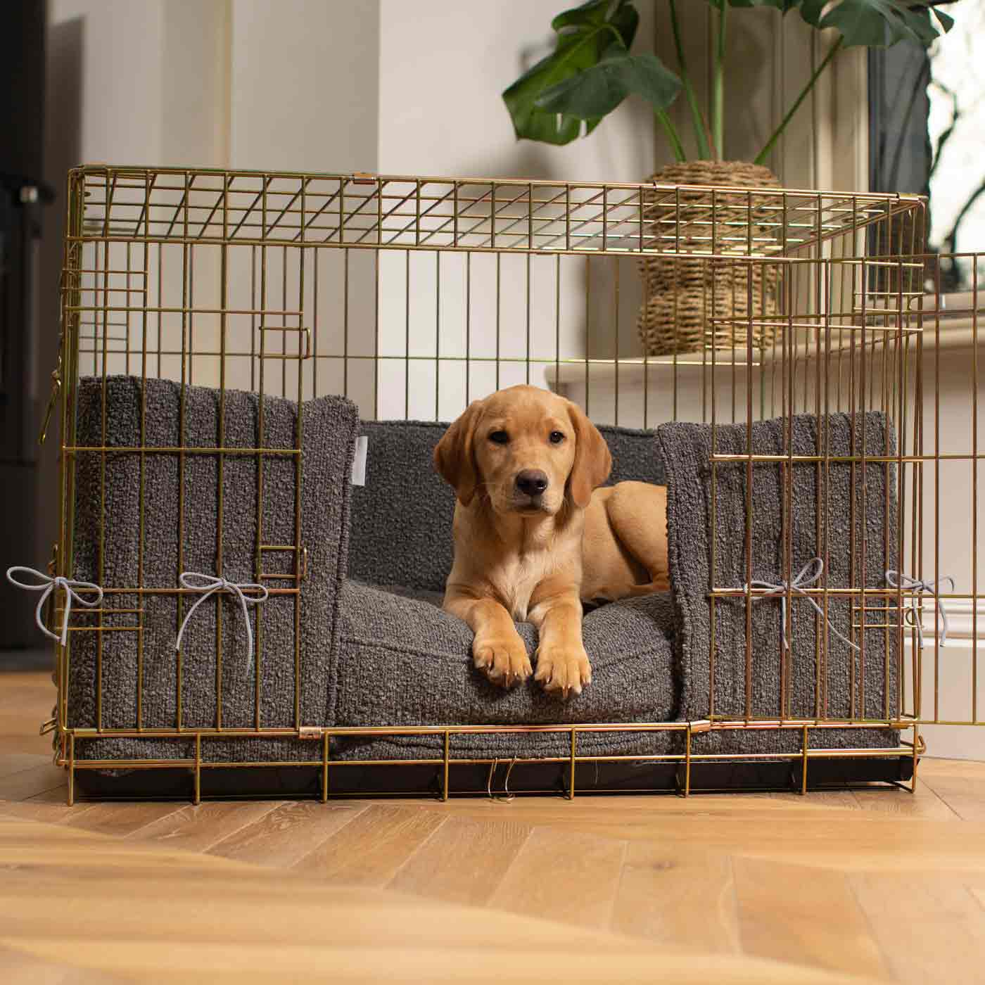 Discover Our Heavy-Duty Gold Dog Cage With Granite Bouclé Cushion & Bumper! The Perfect Cage Accessories. Available To Personalize Here at Lords & Labradors US