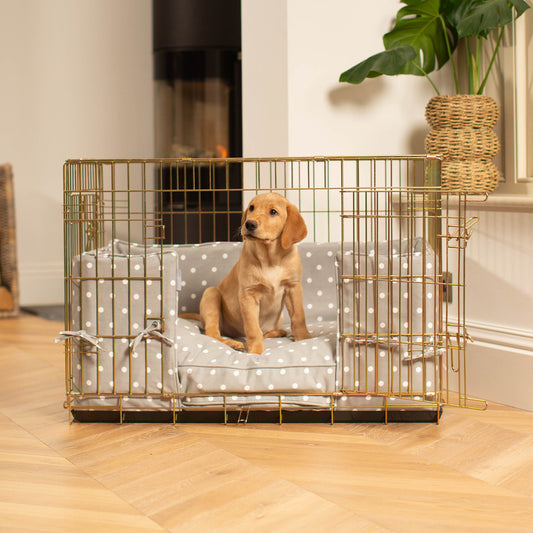 Discover our Luxury Heavy-Duty Gold Dog Cage Set With Cushion & Bumper, in Grey Spot. The Perfect Dog Crate For The Ultimate Naptime, Available Now at Lords & Labradors US