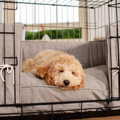 Dog Cage with Cushion & Bumper in Inchmurrin Ground by Lords & Labradors