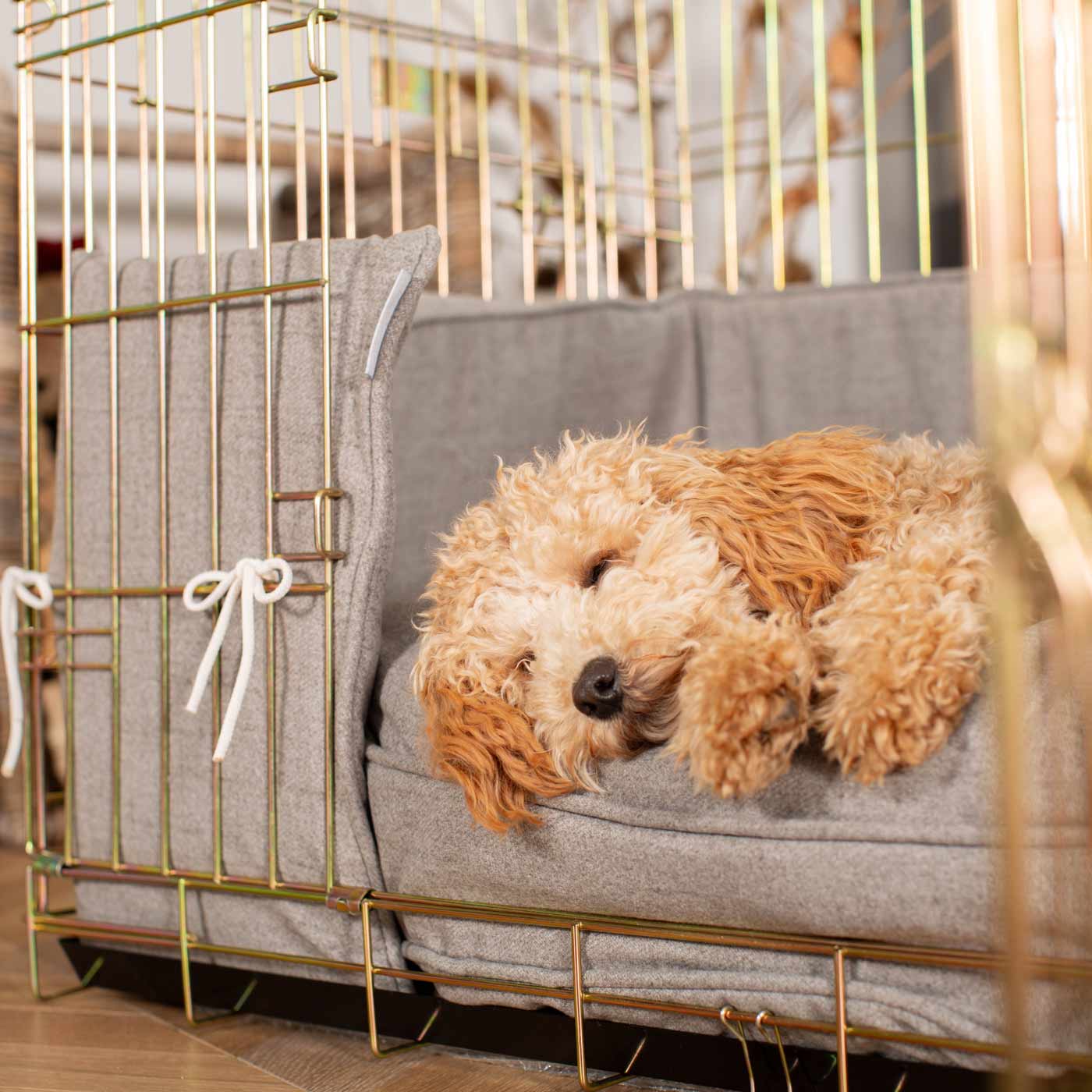 Dog Cage with Cushion Bumper in Inchmurrin Ground by Lords Labradors