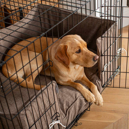 Dog Cage with Cushion & Bumper in Inchmurrin Umber by Lords & Labradors