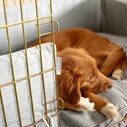 Dog Cage with Cushion & Bumper in Inchmurrin Iceberg by Lords & Labradors