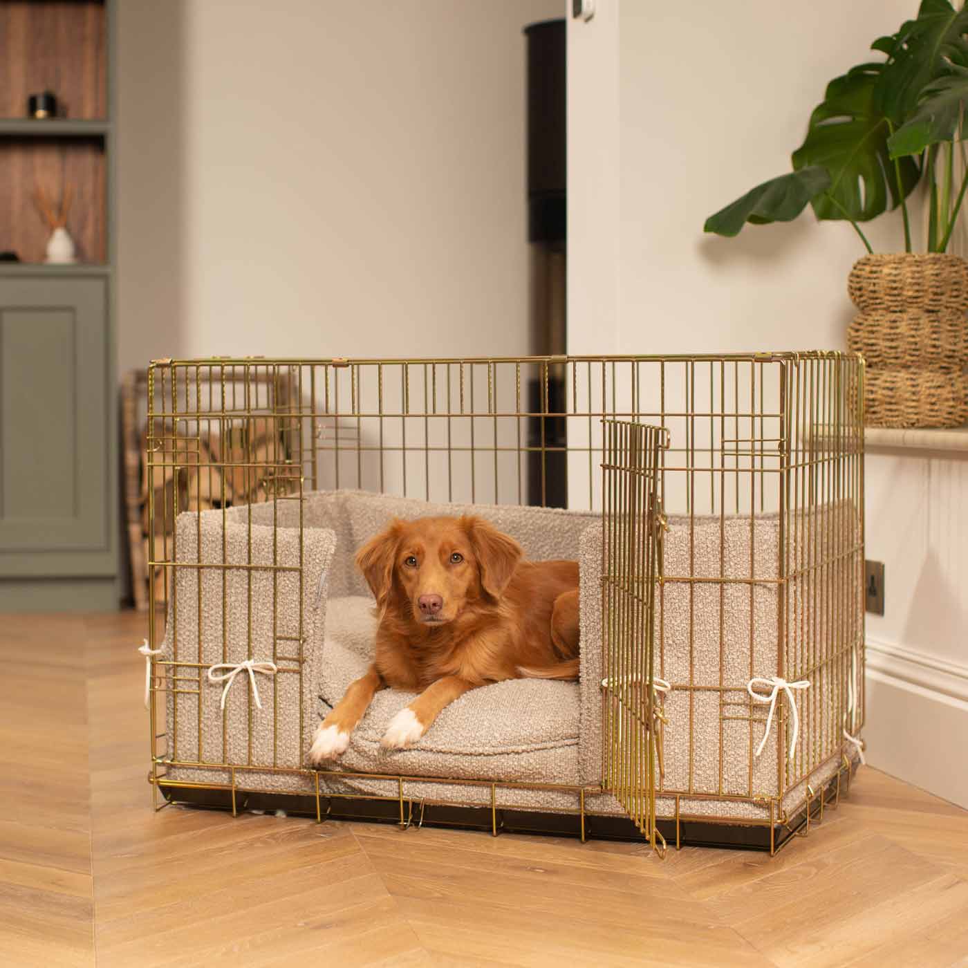 Discover Our Heavy-Duty Gold Dog Cage With Mink Bouclé Cushion & Bumper! The Perfect Cage Accessories. Available To Personalize Here at Lords & Labradors US