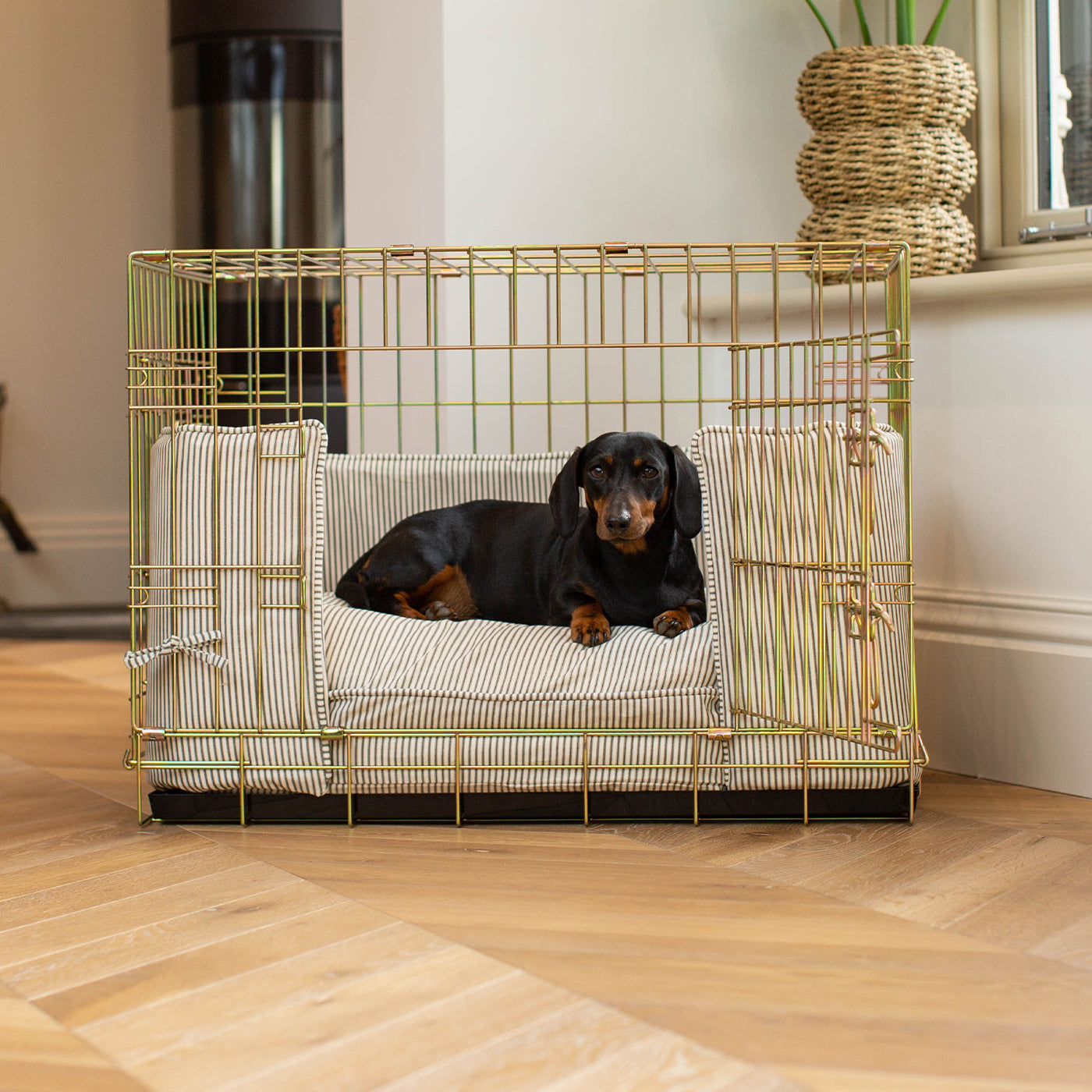 Discover our Luxury Heavy-Duty Gold Dog Cage Set With Cushion & Bumper, in Regency Stripe. The Perfect Dog Crate For The Ultimate Naptime, Available Now at Lords & Labradors US