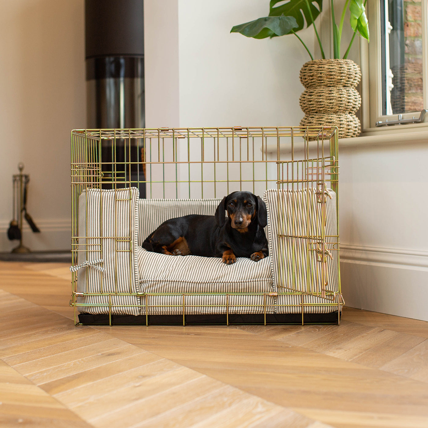 Luxury Gold Dog Cage Set With Cushion, Bumper and Cage Cover, in Regency Stripe. The Perfect Dog Cage For The Ultimate Naptime, Available Now at Lords & Labradors US