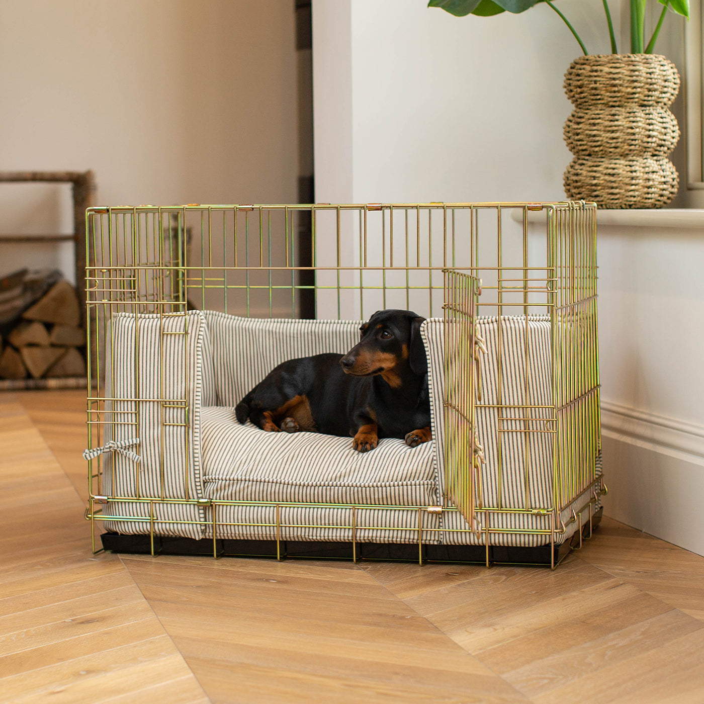 Discover our Luxury Heavy-Duty Gold Dog Cage Set With Cushion & Bumper, in Regency Stripe. The Perfect Dog Crate For The Ultimate Naptime, Available Now at Lords & Labradors US