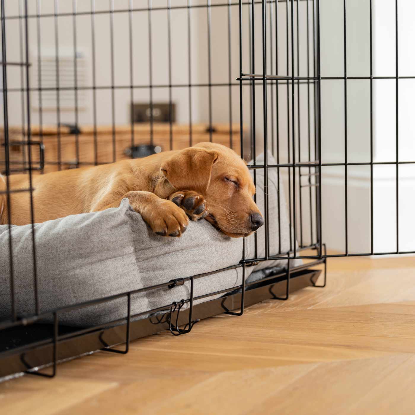 Inchmurrin Cosy & Calm Puppy Box Bed, The Perfect Dog Crate Bed For Pets! To Build The Ultimate Dog Den! In Dark Grey Ground! Available To Personalise Now at Lords & Labradors 