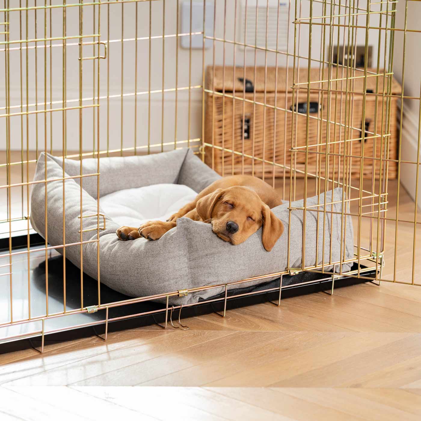 Dog Cage with Cozy & Calming Puppy Cage Bed in Inchmurrin Ground by Lords & Labradors