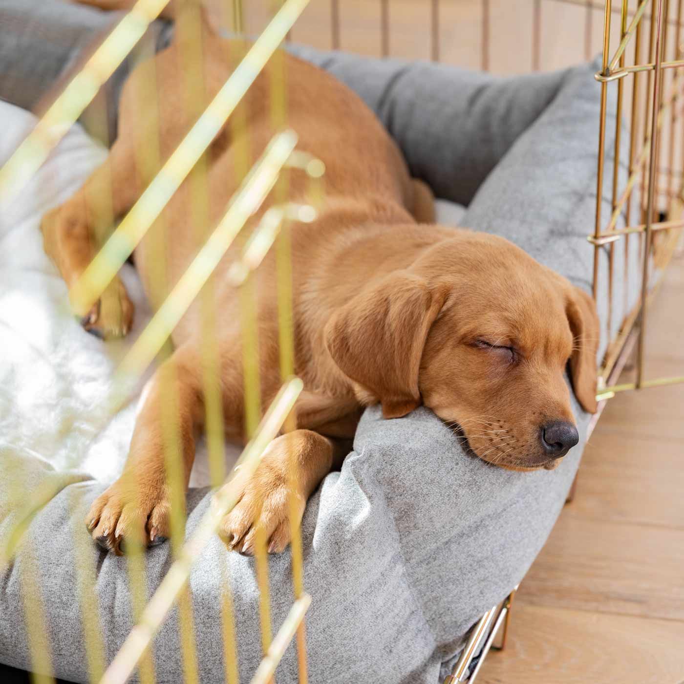 Inchmurrin Cosy & Calm Puppy Box Bed, The Perfect Dog Crate Bed For Pets! To Build The Ultimate Dog Den! In Dark Grey Ground! Available To Personalise Now at Lords & Labradors 