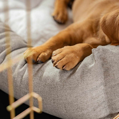 Inchmurrin Cosy & Calm Puppy Box Bed, The Perfect Dog Crate Bed For Pets! To Build The Ultimate Dog Den! In Dark Grey Ground! Available To Personalise Now at Lords & Labradors 