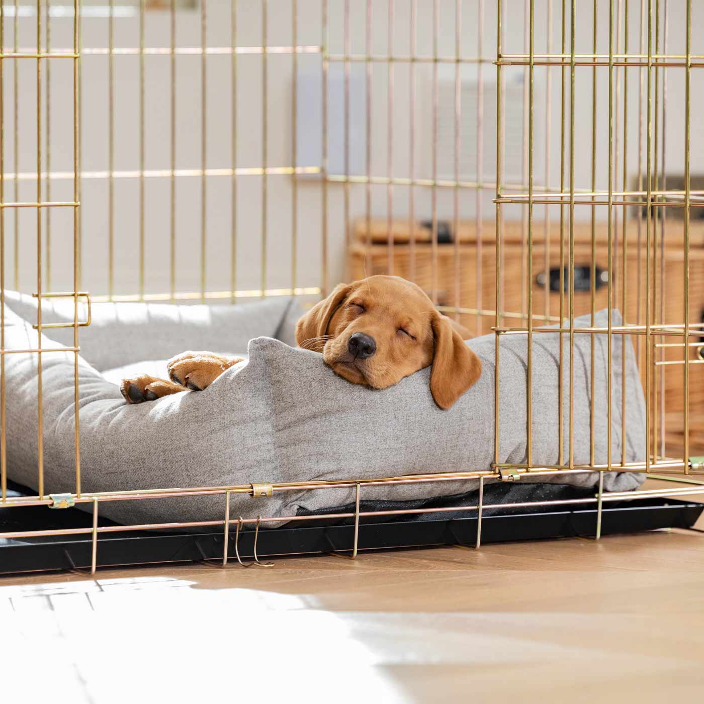 Dog Cage with Cozy & Calming Puppy Cage Bed in Inchmurrin Ground by Lords & Labradors