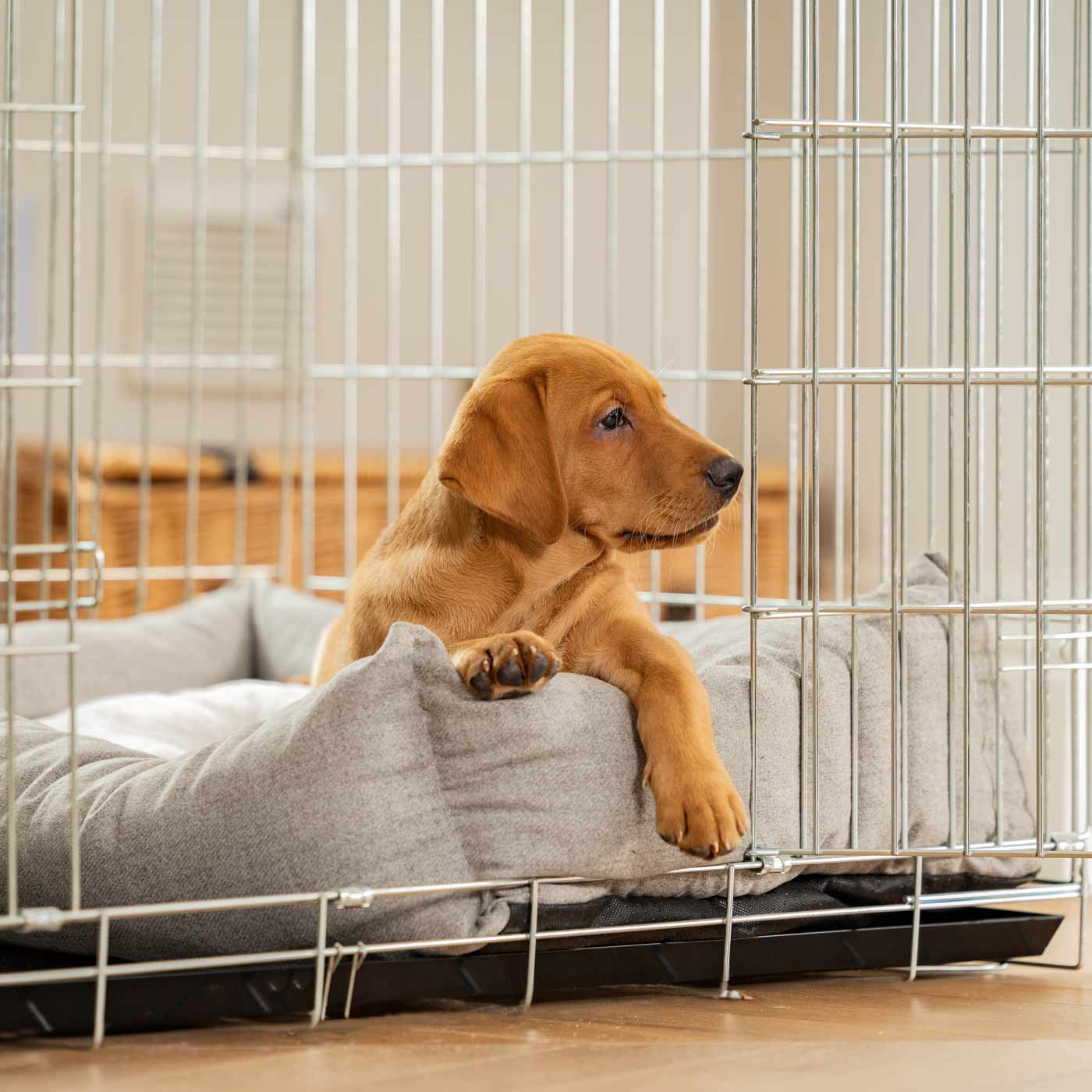 Inchmurrin Cosy & Calm Puppy Box Bed, The Perfect Dog Crate Bed For Pets! To Build The Ultimate Dog Den! In Dark Grey Ground! Available To Personalise Now at Lords & Labradors 