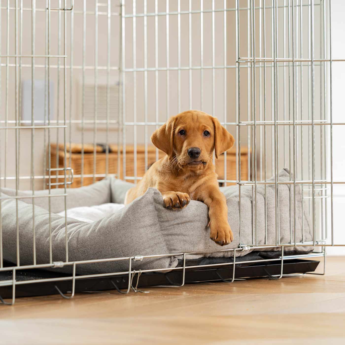 Inchmurrin Cosy & Calm Puppy Box Bed, The Perfect Dog Crate Bed For Pets! To Build The Ultimate Dog Den! In Dark Grey Ground! Available To Personalise Now at Lords & Labradors 