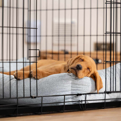 Inchmurrin Cosy & Calm Puppy Box Bed, The Perfect Dog Crate Bed For Pets! To Build The Ultimate Dog Den! In Light Grey Iceberg! Available To Personalise Now at Lords & Labradors 