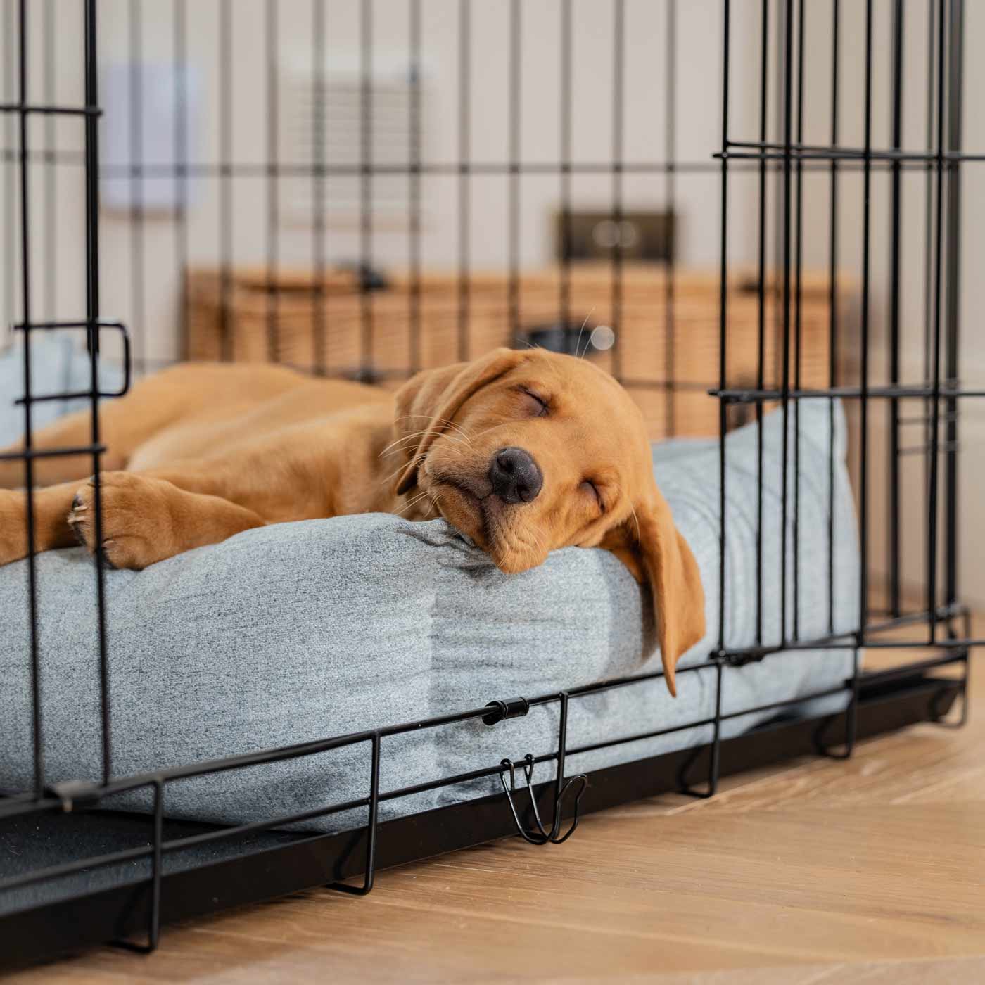 Inchmurrin Cosy & Calm Puppy Box Bed, The Perfect Dog Crate Bed For Pets! To Build The Ultimate Dog Den! In Light Grey Iceberg! Available To Personalise Now at Lords & Labradors 