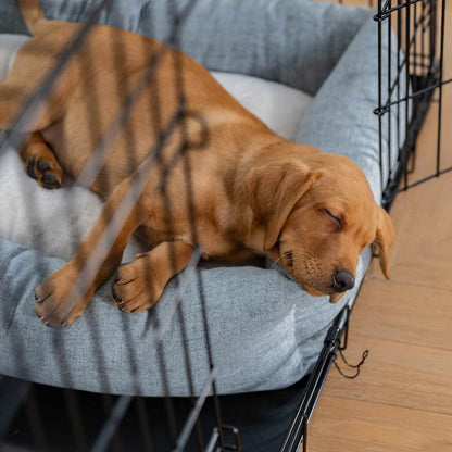 Inchmurrin Cosy & Calm Puppy Box Bed, The Perfect Dog Crate Bed For Pets! To Build The Ultimate Dog Den! In Light Grey Iceberg! Available To Personalise Now at Lords & Labradors 