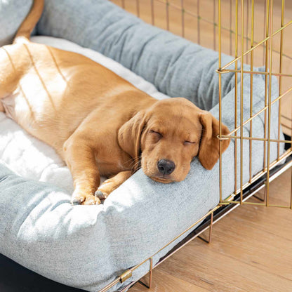 Inchmurrin Cosy & Calm Puppy Box Bed, The Perfect Dog Crate Bed For Pets! To Build The Ultimate Dog Den! In Light Grey Iceberg! Available Now at Lords & Labradors