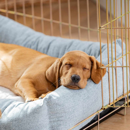 Inchmurrin Cosy & Calm Puppy Box Bed, The Perfect Dog Crate Bed For Pets! To Build The Ultimate Dog Den! In Light Grey Iceberg! Available To Personalise Now at Lords & Labradors 