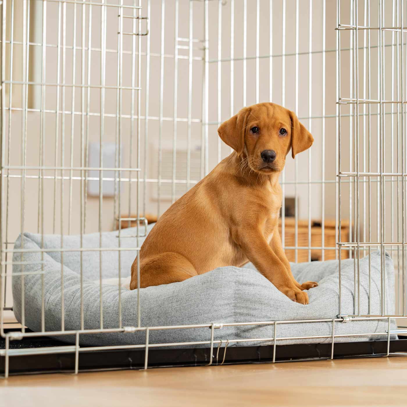 Inchmurrin Cosy & Calm Puppy Box Bed, The Perfect Dog Crate Bed For Pets! To Build The Ultimate Dog Den! In Light Grey Iceberg! Available To Personalise Now at Lords & Labradors 