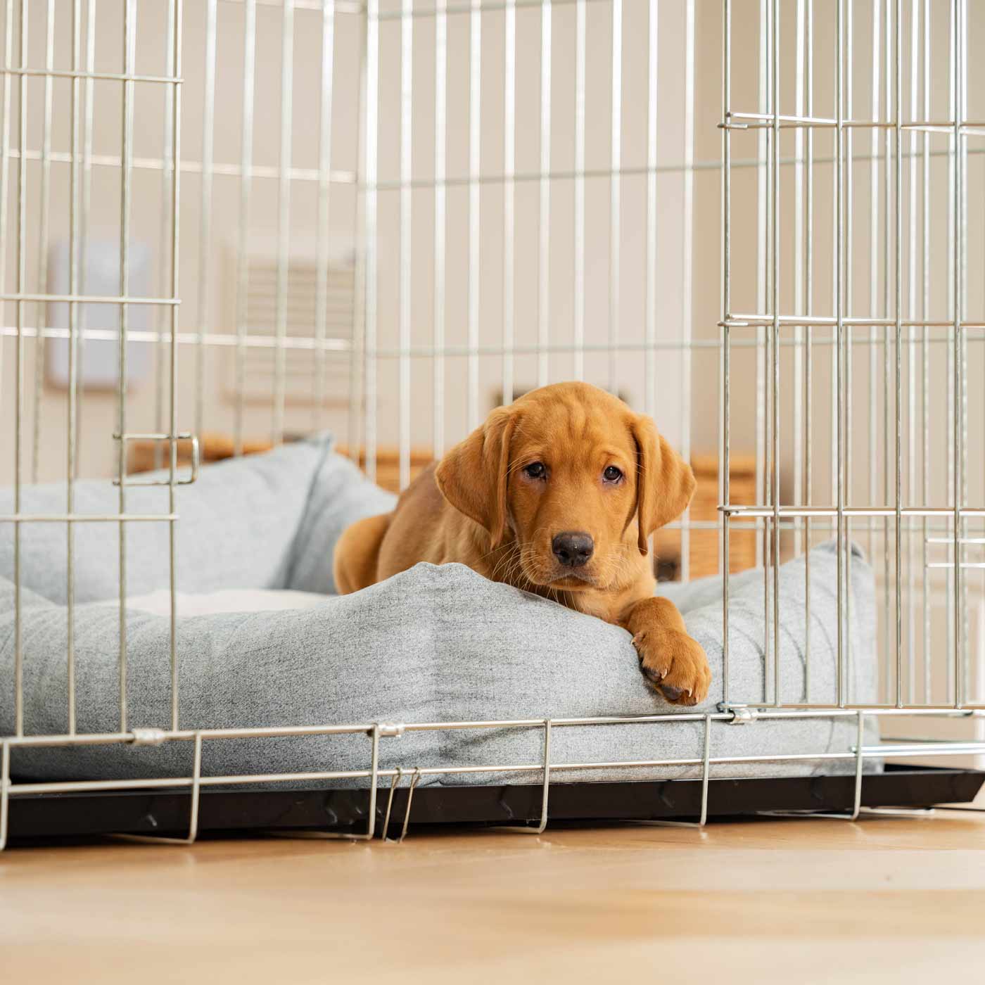 Inchmurrin Cosy & Calm Puppy Box Bed, The Perfect Dog Crate Bed For Pets! To Build The Ultimate Dog Den! In Light Grey Iceberg! Available To Personalise Now at Lords & Labradors 