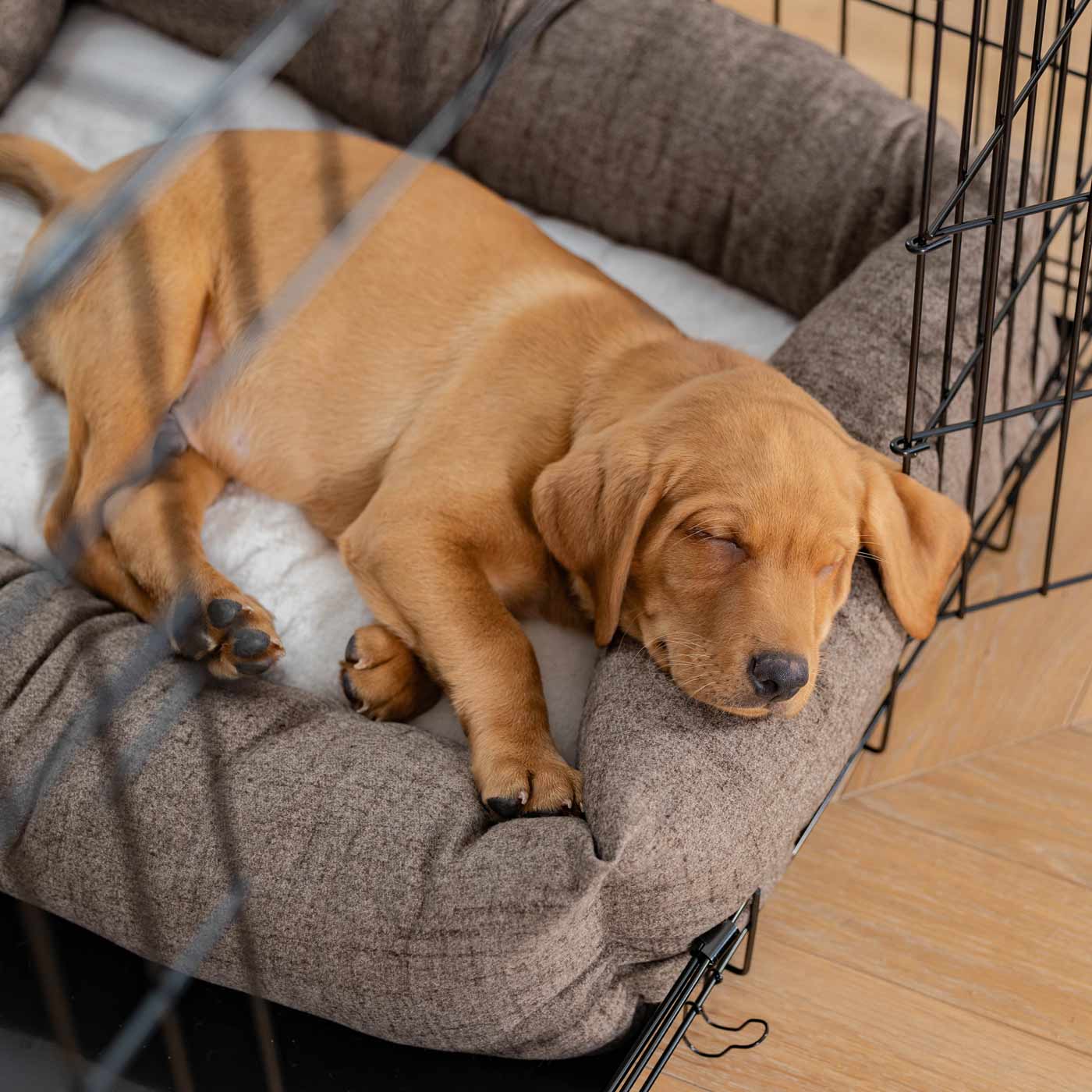Inchmurrin Cosy & Calm Puppy Box Bed, The Perfect Dog Crate Bed For Pets! To Build The Ultimate Dog Den! In Brown Ember! Available To Personalise Now at Lords & Labradors 