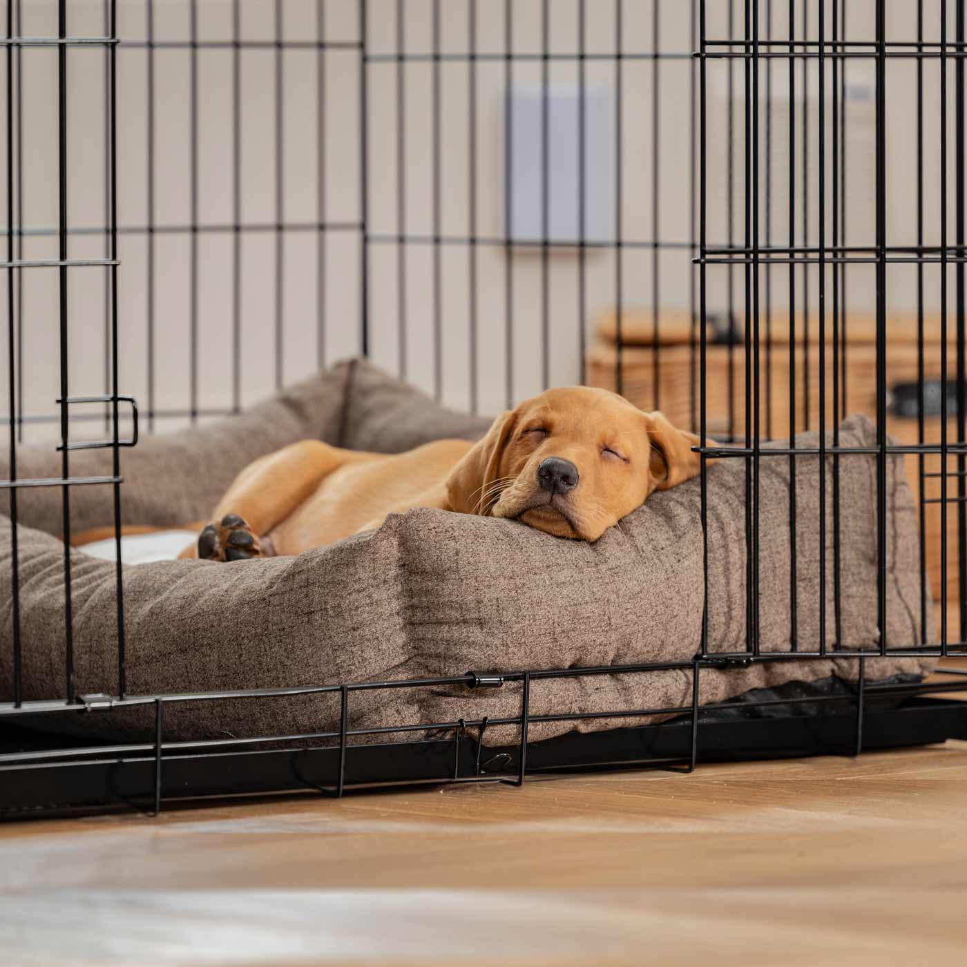 Inchmurrin Cosy & Calm Puppy Box Bed, The Perfect Dog Crate Bed For Pets! To Build The Ultimate Dog Den! In Brown Ember! Available To Personalise Now at Lords & Labradors 