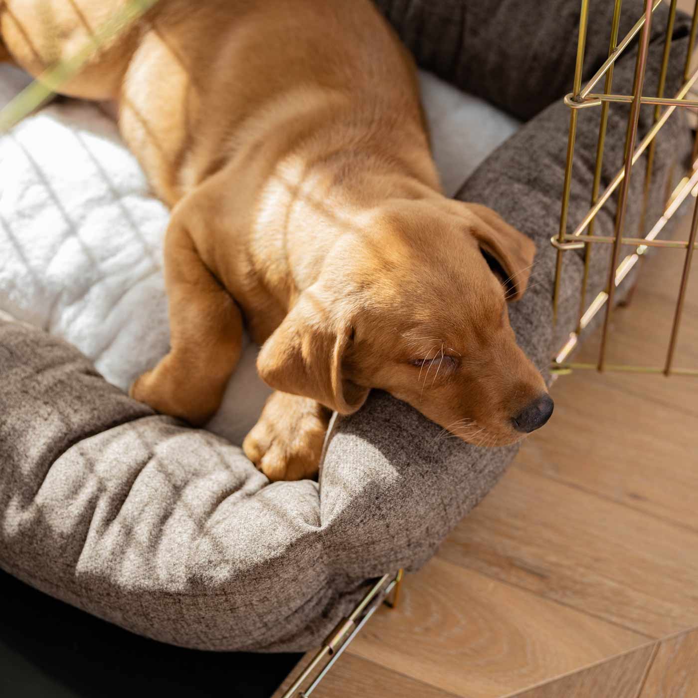 Inchmurrin Cosy & Calm Puppy Box Bed, The Perfect Dog Crate Bed For Pets! To Build The Ultimate Dog Den! In Brown Ember! Available To Personalise Now at Lords & Labradors 