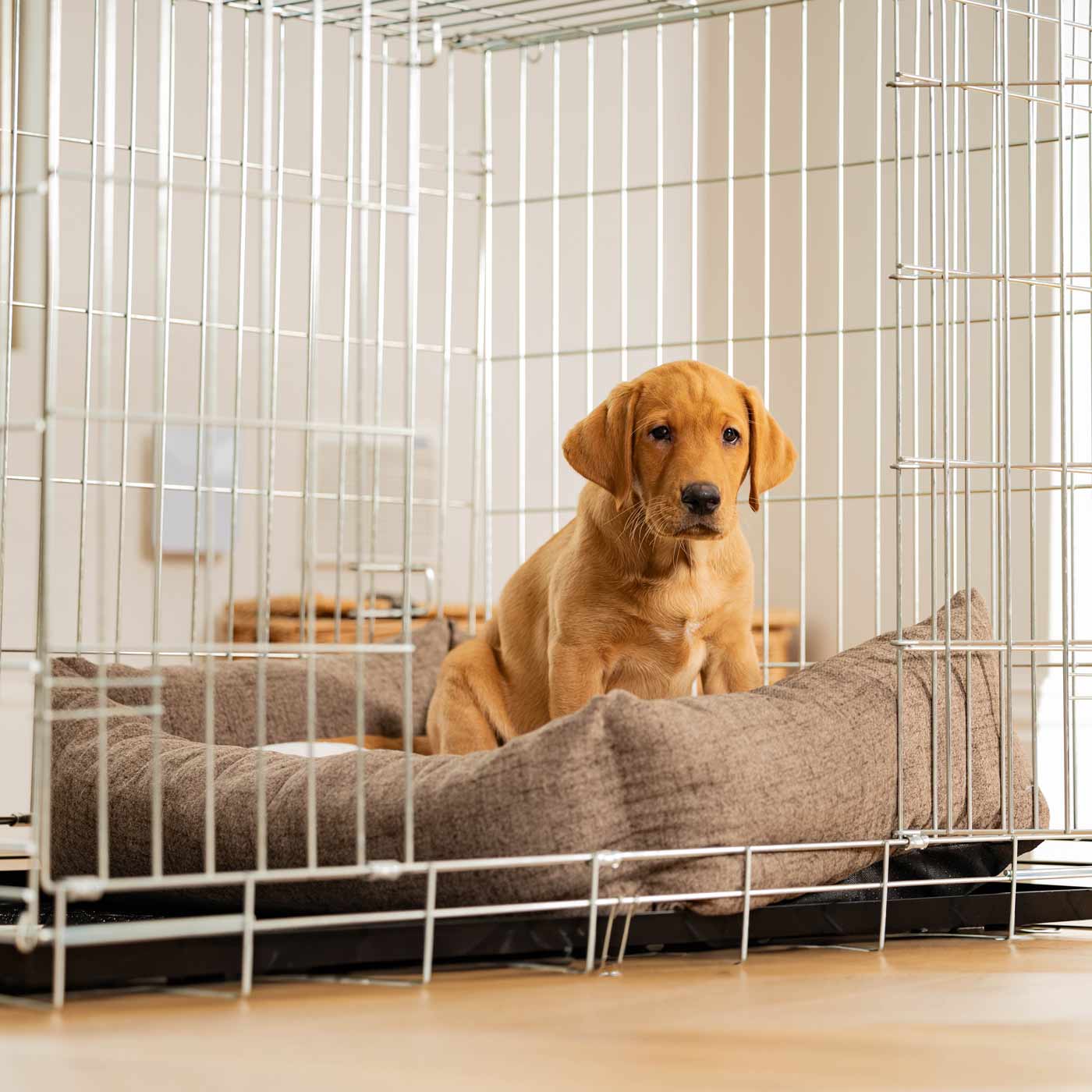 Inchmurrin Cosy & Calm Puppy Box Bed, The Perfect Dog Crate Bed For Pets! To Build The Ultimate Dog Den! In Brown Ember! Available To Personalise Now at Lords & Labradors 