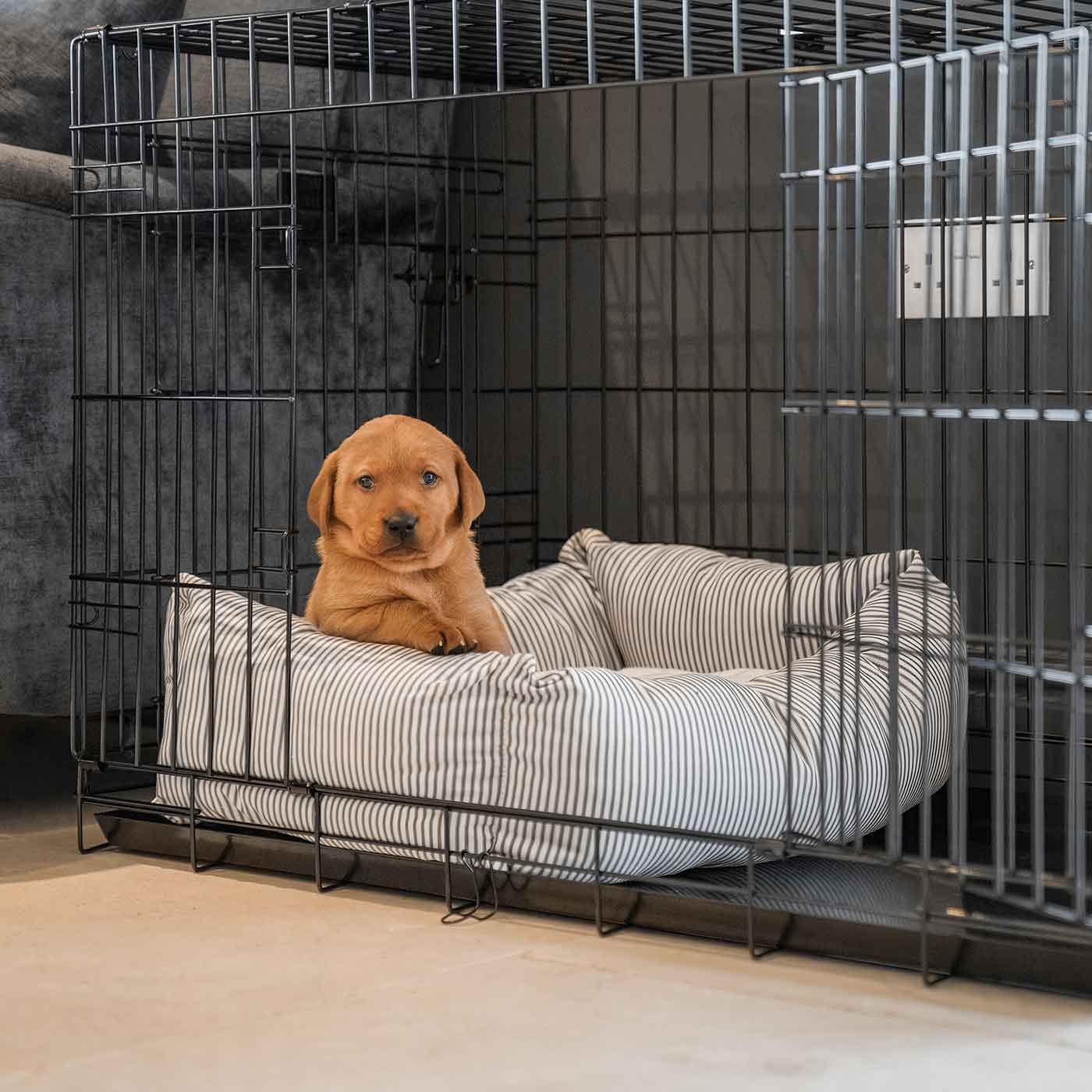 Cozy & Calming Puppy Cage Bed in Spots and Stripes, The Perfect Dog Cage Accessory For The Ultimate Dog Den! In Stunning Regency Stripe! Available To Personalize at Lords & Labradors US