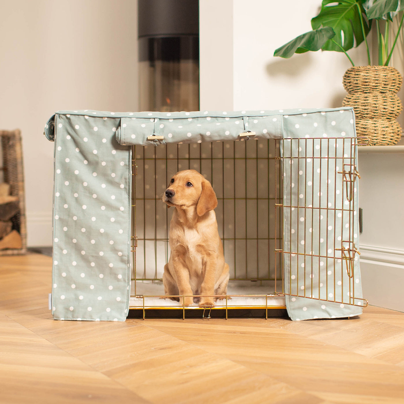 Luxury Gold Dog Cage Set With Crate Cover, The Perfect Dog Crate For The Ultimate Naptime, Available Now at Lords & Labradors US